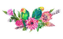 Tropical Watercolor Vintage Wreath With Pink Flowers, Protea And Green Parrot.