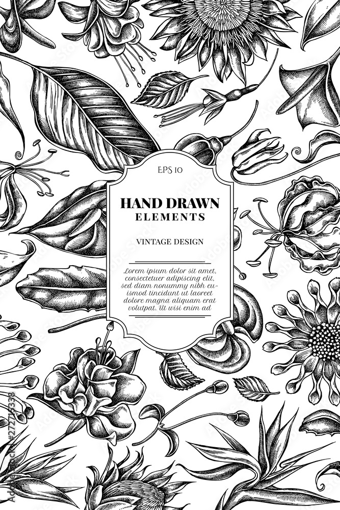 Card design with black and white african daisies, fuchsia, gloriosa ...