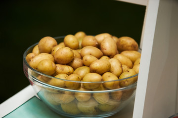 Wall Mural - Raw new potatoes in a glass bowl on kitchen shelf