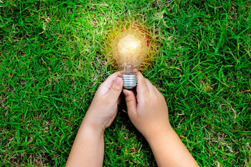 Wall Mural - energy concept. the hand of the child who was holding the lamp until it became a light.