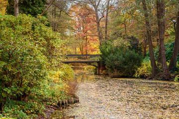 Sticker - Autumn Tiergarten Park in Berlin. Germany