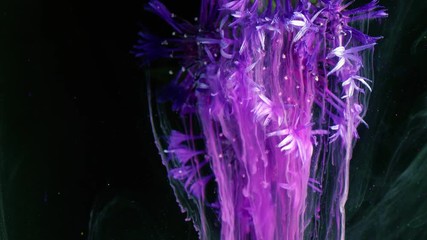 Wall Mural - Little violet Flowers. Colorful Pigment Flow.