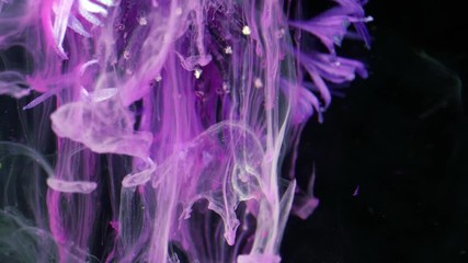Wall Mural - Little violet Flowers. Colorful Pigment Flow.