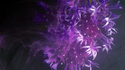 Wall Mural - Little violet Flowers. Colorful Pigment Flow.