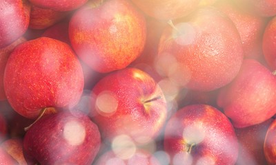 Canvas Print - Red ripe apples, food background