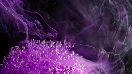 Wall Mural - Little violet Flowers. Colorful Pigment Flow.
