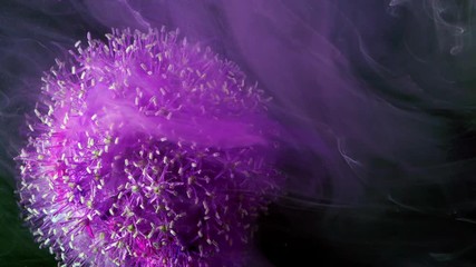Wall Mural - Little violet Flowers. Colorful Pigment Flow.