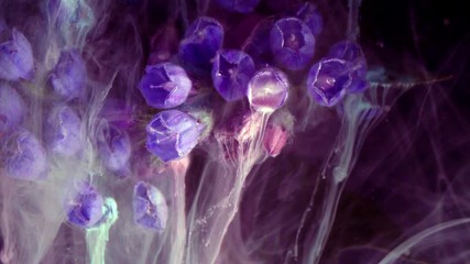 Wall Mural - Little blue flowers. Colorful Pigment Flow.