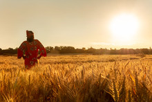 African Woman In Traditional Clothes Walking In A Field Of Crops At Sunset Or Sunrise