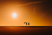 Silhouette Of Two Women Friends Jumping At The Beach At Sunset During Golden Hour. Fun And Friendship Outdoors