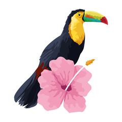 Poster - beautiful wild birds with exotic flower