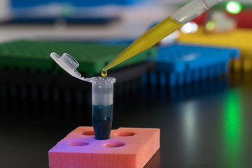 Poster - A scientist in a medical laboratory with a dispenser in his hands is doing an genetic analysis samples