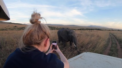 Wall Mural - Static shot of a girl taking pictures of Elephants, at a safari, in the savannas of Masai Park, on a sunny day, in Kenya, Africa - slow motion