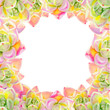 © Diana - Beautiful colorful succulent frame.  Decorative plants. Floral print. Marker drawing. Watercolor painting. Beautiful houseplants. Greeting card. Flower painted background. Hand drawn illustration.