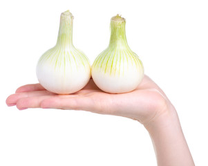 Wall Mural - Young white onions in hand on white background isolation