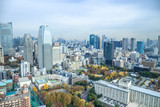 Fototapeta Miasto - Aerial view of Tokyo cityscape from Tokyo Tower.