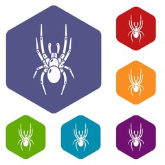 Poster - Spider icon. Simple illustration of spider vector icon for web