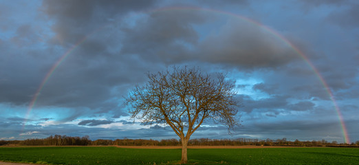 Canvas Print - Arc en ciel dans la campagne Française