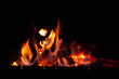 © Alex Puhovoy - Fire bonfire. The flame of fire burns in an open furnace at night.