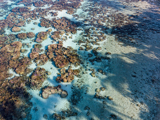 Canvas Print - corals garden reefs in french polynesia aerial view with drone