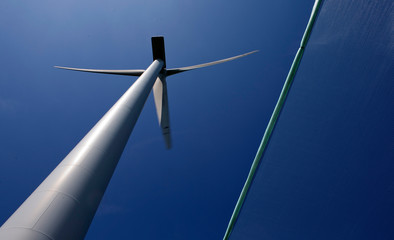 Windmill in Dutch polder. Netherlands. Green energy