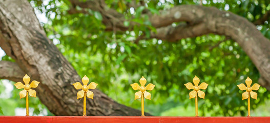 Wall Mural - Steel fence decorated with wrought iron golden flowers on blurred backgrounds.