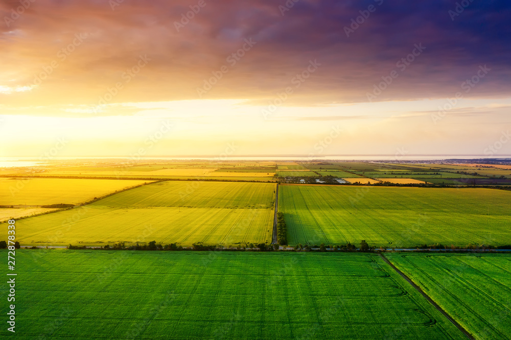Aerial view on the field during sunset. Landscape from drone. Agricultural landscape from air. Agriculture - image - obrazy, fototapety, plakaty 