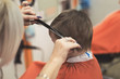 © Konstiantyn Zap - A little boy's haircut in a hairdresser's.