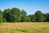 Fototapeta Na ścianę - Photography in the evening hour of nature in the summer on a sunny day. Beautiful dawn time.