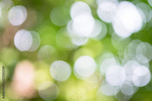 Blur bokeh background and nature.