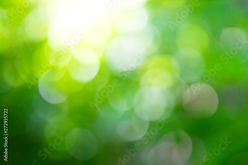 Blur bokeh background and nature.