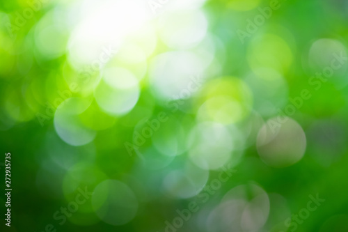 Blur bokeh background and nature.