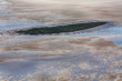 Hallig Norderoog, Luftbild vom Schleswig-Holsteinischen Nationalpark Wattenmeer