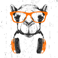 Portrait of Camel with glasses and headphones. Hand-drawn illustration. T-shirt design. Vector