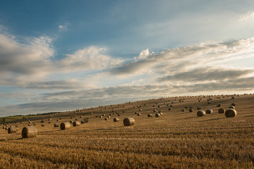 Straw bales are the beautiful scenery