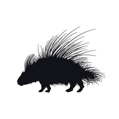 Black silhouette of african porcupine on white background. Isolated hedgehog icon. Wild animals of Africa. Savannah nature