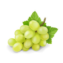 Yellow Or Green Grapes Branch With Leaves Isolated. Grape Icon. Realistic Vector