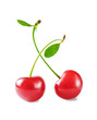 © epitavi - Two red cherries