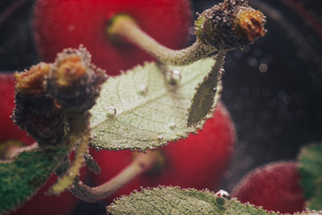 Aufkleber - Fresh cherry of water. Macro view.