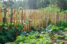 Fenced Vegetable Garden