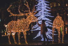 Christmas Decorations In The Streets Of Helsinki, With Evening Light Illumination, Concept Of Christmas In Finland, With Deer Made Of Lamps In Esplanade Park