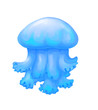 jelly fish, sea animal hand drawn illustration