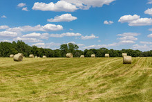 Round Hay Bales On A Hillside Field On A Sunny Day With A Blue Sky And Clouds
