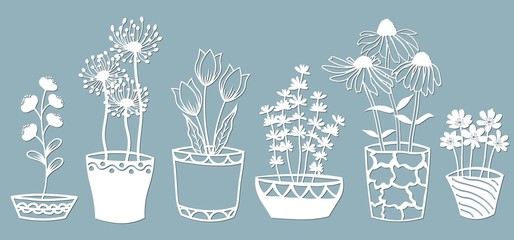 Echinacea, chamomile, schefler, noble hepatica, zephyrantes, stokesia. Vector illustration. Set of paper flower in pots, stickers. Laser cut. Set template for laser cutting and Plotter. Vector illustr