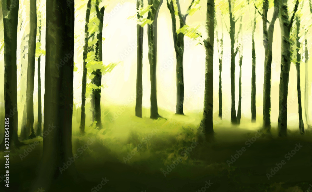 Forest illustration - obrazy, fototapety, plakaty 