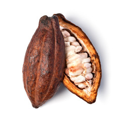 Wall Mural - Cocoa pod on a white background