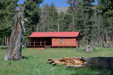 Poster - Cabin in the mountains