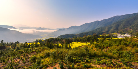  Rape rape terrace in Wuyuan, Shangrao, Jiangxi, China