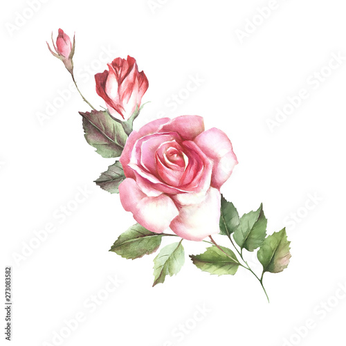 Roses and buds bouquet. Isolated on white background for your design. Waterco...