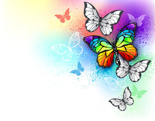 white background with rainbow butterfly